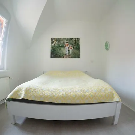 Dom Elfow W Karpaczu Gornym